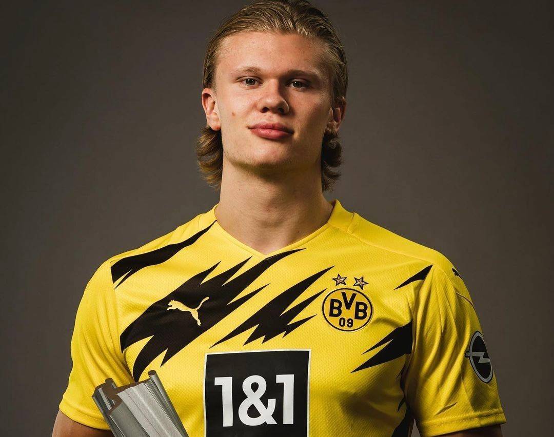 例是他在某 例是他在某