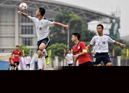 非纯市场化 非纯市场化
